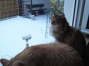 schnee1